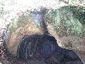 img 1963 img 1963